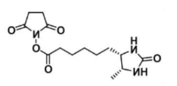 Desthiobiotin NHS Ester;80750-24-9;脱硫生物素-琥珀酰亚胺酯 Desthiobiotin NHS Ester;80750-24-9;脱硫生物素-琥珀酰亚胺酯