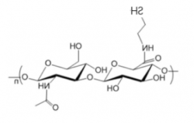 HA-SH；Hyaluronate- Thiol； 透明质酸-巯基
