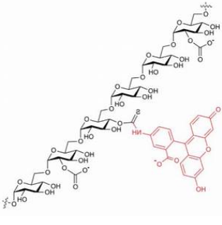 FITC标记羧甲基葡聚糖