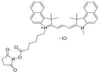 sulfo CY3.5 NHS;水溶性花青素CY3.5活性酯;Sulfo-Cy3.5 NHS ester sulfo CY3.5 NHS;水溶性花青素CY3.5活性酯;Sulfo-Cy3.5 NHS ester