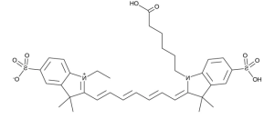 Cy7 (CAS:943298-08-6)；脂溶Cy7单体