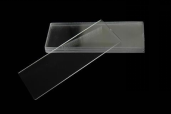 氨基功能化玻璃盖玻片；Amine functionalized glass slides