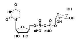 UDP-Arabinose；15839-78-8；udp-阿拉伯糖
