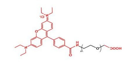 罗丹明聚乙二醇羧基 Rhodamine-PEG-COOH