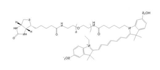 Cy7-PEG-Biotin,Cy7-聚乙二醇-生物素 Cy7-PEG-Biotin,Cy7-聚乙二醇-生物素