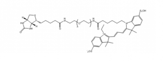 Cy3-PEG-Biotin,Cy3-聚乙二醇-生物素 Cy3-PEG-Biotin,Cy3-聚乙二醇-生物素