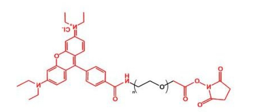 罗丹明聚乙二醇活性酯 RB-PEG-NHS 罗丹明聚乙二醇活性酯 RB-PEG-NHS