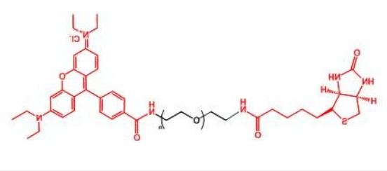 罗丹明聚乙二醇生物素 RB-PEG-BIOTIN