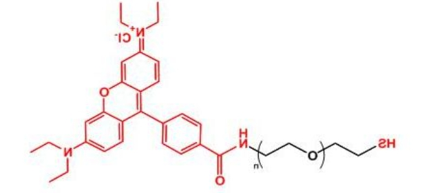 罗丹明聚乙二醇巯基 Rhodamine-PEG-SH
