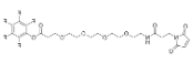 1347750-84-8	Mal-NH-PEG4-CH2CH2COOPFP ester PROTAC(蛋白降解靶向嵌合体)
