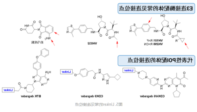 DSPE-PEG9-SH