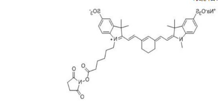 Sulfo-Cy7 NHS ester