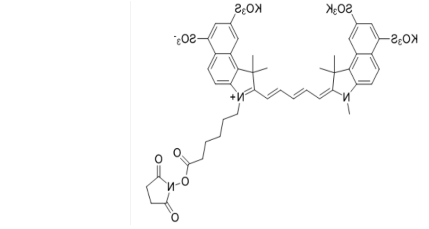Sulfo-Cy5.5 NHS ester