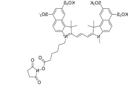 Sulfo-Cy3.5 NHS ester