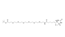Biotin-PEG6-Boc	 