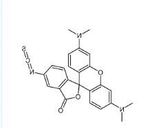 CAS号：95197-95-8；5(6)-TRITC；四甲基罗丹明-5(6)-异硫氰酸