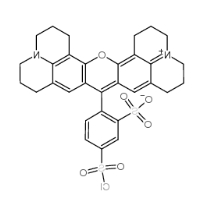 CAS号：82354-19-6；磺基罗丹明101磺酰氯