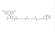 Fluorescein Biotin Fluorescein Biotin