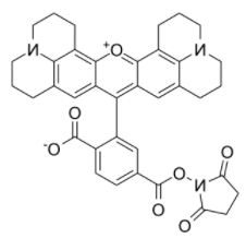 6-羧基-X-罗丹明琥珀酰亚胺酯 