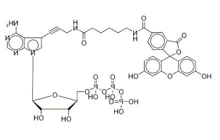 Fluorescein Alkynylamino-ATP Fluorescein Alkynylamino-ATP