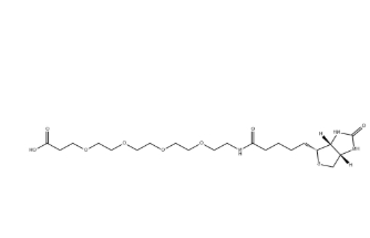 721431-18-1,(+)-Biotin-PEG4-CH2CH2COOH 721431-18-1,(+)-Biotin-PEG4-CH2CH2COOH