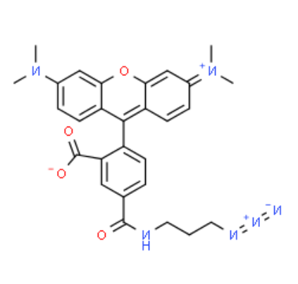 四甲基罗丹明 叠氮化物,5-异构体 四甲基罗丹明 叠氮化物,5-异构体