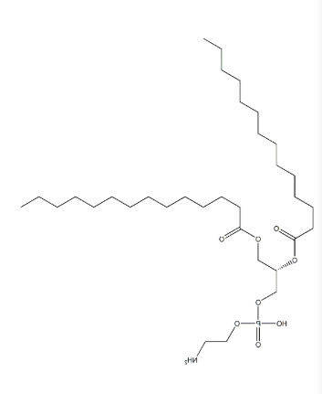 DMPE（1，2-二肉豆蔻酰-sn-甘油-3-磷酰乙醇胺）