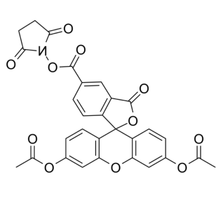 5-diacetate FAM NHS 5-diacetate FAM NHS