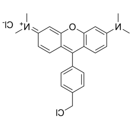 MitoTracker Orange CMTMRos 