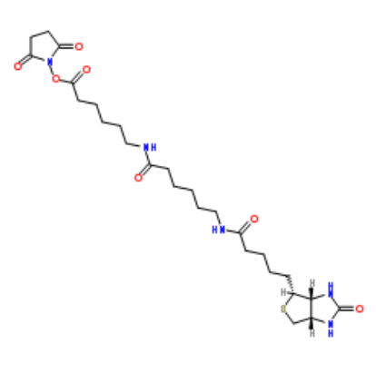 Biotin-LC-LC-NHS Biotin-LC-LC-NHS