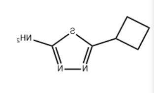 5-环丁基-1,3,4-噻二唑-2-胺 5-环丁基-1,3,4-噻二唑-2-胺