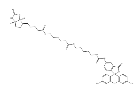 5-FITC Biotin 5-FITC Biotin