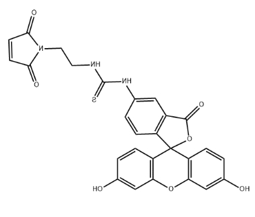 5-FITC-Maleimide
