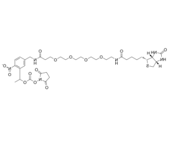 PC-Biotin-PEG4-NHS carbonate PC-Biotin-PEG4-NHS carbonate