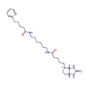生物素-HPDP 生物素-HPDP