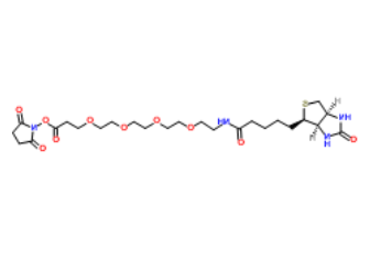 Biotin-PEG4-NHS ester 