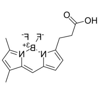 3-Bodipy-propanoic Acid 
