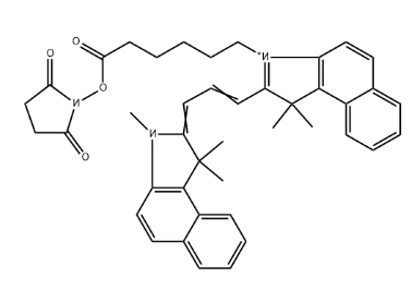 CY3.5活化脂