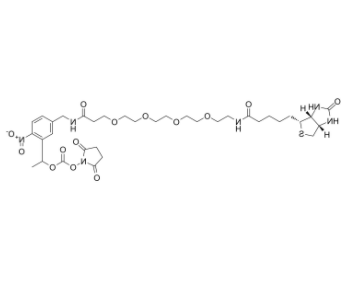 PC-Biotin-PEG4-NHS carbonate PC-Biotin-PEG4-NHS carbonate