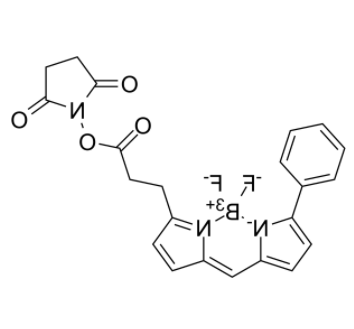 BIODIPY R6G ester BIODIPY R6G ester