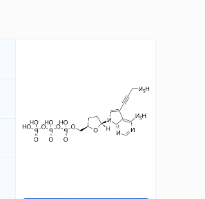 Aminopropargyl ddATP Aminopropargyl ddATP