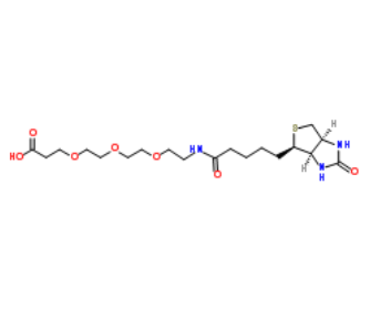 Biotin-PEG3-acid Biotin-PEG3-acid