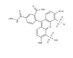 BP Fluor 488 Hydrazide BP Fluor 488 Hydrazide