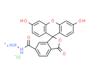 FAM hydrazide 6-isomer FAM hydrazide 6-isomer