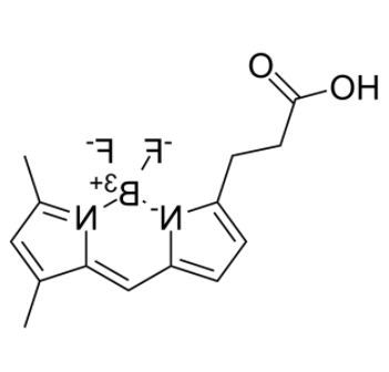 3-Bodipy-propanoic Acid 3-Bodipy-propanoic Acid