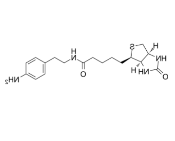 Biotin-aniline Biotin-aniline