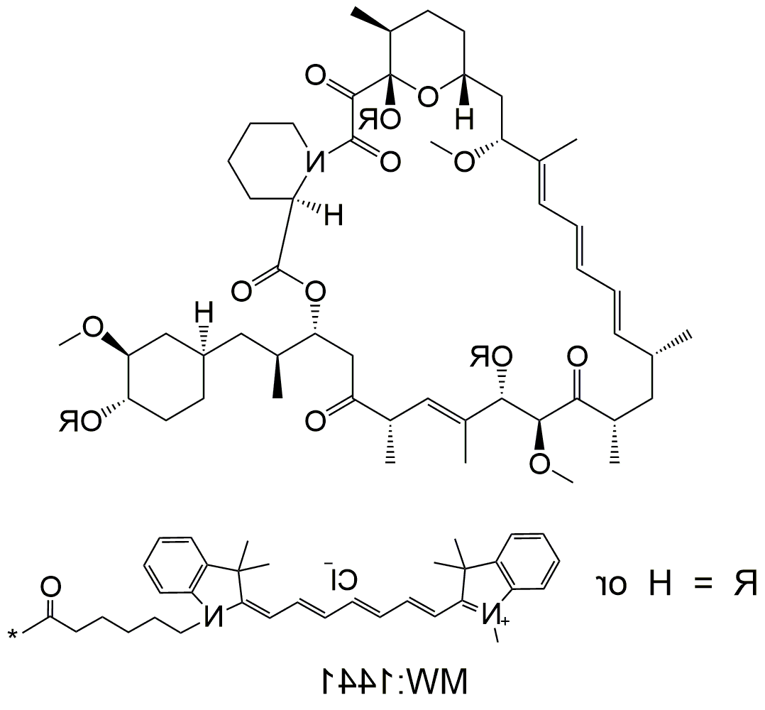 Cy7-Rapamycin,Cy7-雷帕霉素 Cy7-Rapamycin,Cy7-雷帕霉素