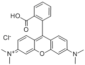 Tetramethylrhodamine Tetramethylrhodamine