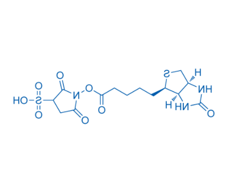 Biotin sulfo-N-hydroxysuccinimide ester Biotin sulfo-N-hydroxysuccinimide ester