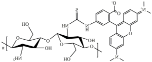 TRITC-Chitosan